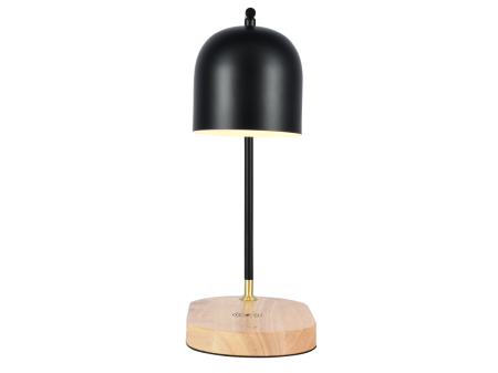 Настольная лампа Zortes DeskLight (ДескЛигхт) ZRS.1066.01