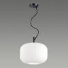 Светильник подвесной Odeon Light ROOFI (РООФИ) 4754/1