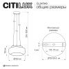 Светильник подвесной Citilux Signature (Сигнатуре) CL247043