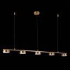Люстра подвесная ST Luce Pances (Панцес) SL6000.303.05