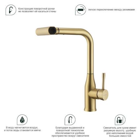 Смеситель для кухни Splenka S206 S206.49.03 на мойку золото
