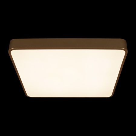 Светильник потолочный Loft It Flims 10228/D
