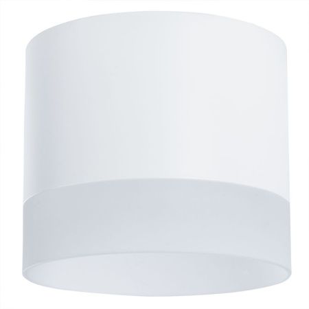 Светильник потолочный Arte Lamp Castor (Цастор) A5554PL-1WH