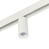 Трековый магнитный светильник Myfar Ray (Раы) MT0220-12W4K-W