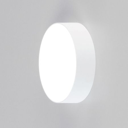 Светильник накладной Citilux Тао CL712120N