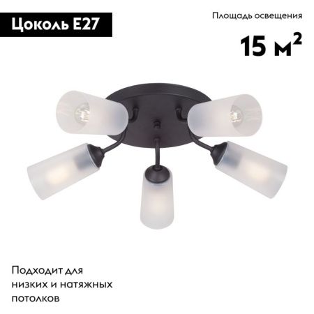 Люстра потолочная Vitaluce V3762 V3762-1/5PL