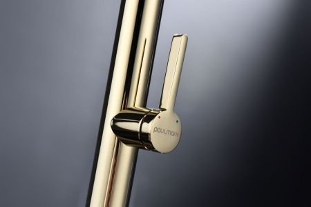 Смеситель для кухни Paulmark LEADER Le214101-G на мойку золото