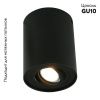 Светильник потолочный Arte Lamp Falcon (Фалцон) A5644PL-1BK