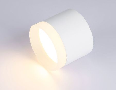 Светильник накладной Ambrella Light Acrylic Frost (Ацрылиц Фрост) TN5365