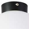 Светильник потолочный Lightstar Globo (Глобо) 812027