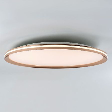 Светильник потолочный LED4U L3020-600 GD