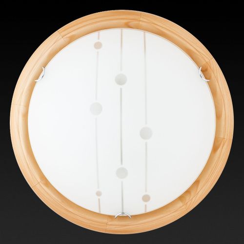 Светильник настенный Toplight Madison (Мадисон) TL9033Y-02PN - фото 3