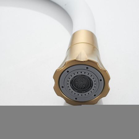 Смеситель для кухни Raffine F303G-1 на мойку золото