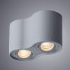 Светильник потолочный Arte Lamp Falcon (Фалцон) A5645PL-2GY