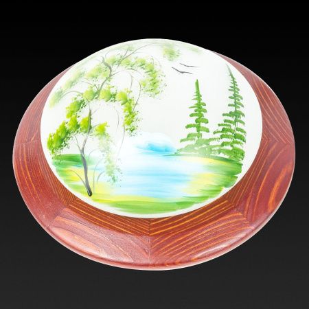 Настенно-потолочный светильник Toplight Witaec (Витаец) TL9470Y-01OA