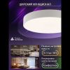 Светильник потолочный Natali Kovaltseva Modern (Модерн) LED LAMPS 81105/2C