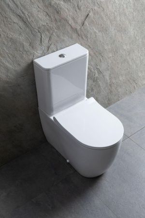 Чаша унитаза напольная Allen Brau Priority 4.31003.20 цвет белый без бачка с сиденьем микролифт безободковая каскадный смыв