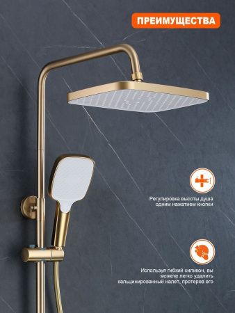 Душевая стойка ProHanss P60.24.03 настенная цвет золото