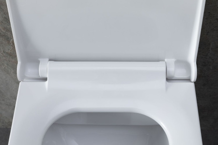 Чаша унитаза подвесная Allen Brau Infinity 4.21011.20 цвет белый без сиденья безободковая каскадный смыв