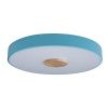 Светильник потолочный Loft It Axel 10003/24 Blue