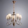 Люстра подвесная Arte Lamp Agio (Агио) A6086LM-5PB