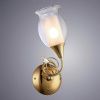 Бра Arte Lamp Mughetto (Мугхетто) A9289AP-1GO