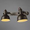 Спот Arte Lamp Martin (Мартин) A5213AP-2BR