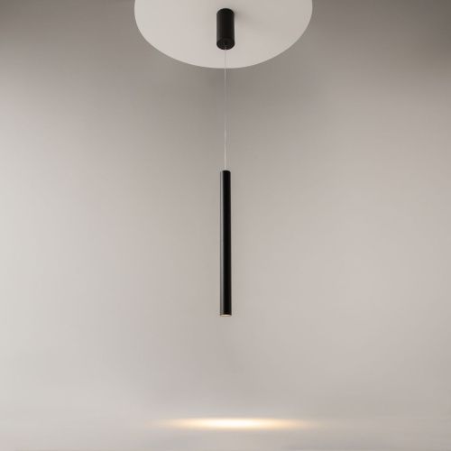 Светильник подвесной Maytoni Pro Base Modern MOD159PL-L6BK - фото 3