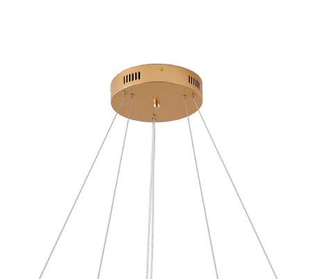 Люстра подвесная Zortes Ringolight (Ринголигхт) ZRS.33320.63C