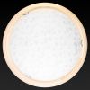 Светильник накладной Toplight Beatrice (Беатрице) TL9280Y-00PN