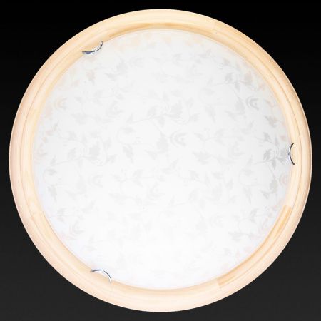 Светильник накладной Toplight Beatrice (Беатрице) TL9280Y-00PN