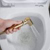 Гигиенический душ со смесителем Shevanik S9905G золото