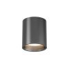 Светильник накладной Denkirs Shine tube (Схине тубе) DK2610-DN