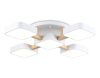 Люстра потолочная Ambrella Light LineTech (ЛинеТецх) FL4881