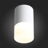 Светильник накладной ST Luce OTTU (ОТТУ) ST100.502.05