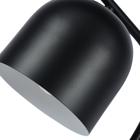 Настольная лампа Zortes DeskLight (ДескЛигхт) ZRS.1066.01