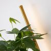 Светильник настенный Favourite Greenery (Греенеры) 4050-2W