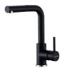 Смеситель для кухни Paulmark KASSEL Ka214311-AN на мойку черный