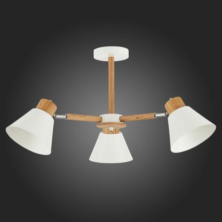 Люстра на штанге Evoluce Buve (Буве) SLE103702-03
