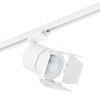 Трековый светильник Lightstar Canno (Цанно) C126496