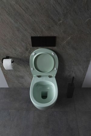 Чаша унитаза подвесная Allen Brau Fantasy 4.11004.MT цвет зеленый без сиденья безободковая каскадный смыв