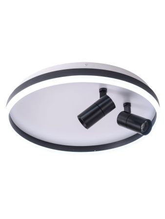 Светильник потолочный Zortes Raizy (Раизы) ZRS.1888.01