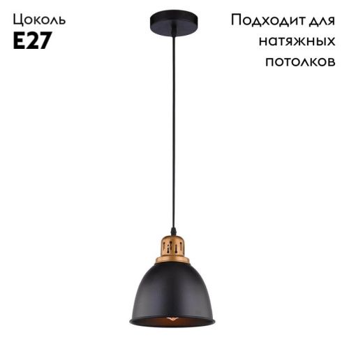 Светильник подвесной Arte Lamp Eurica (Еурица) A4245SP-1BK - фото 2