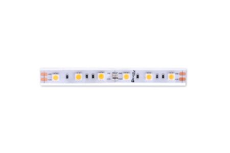 Светодиодная лента Designled DSG560 00-00000519