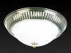Светильник накладной Toplight Dora (Дора) TL5040Y-02AB