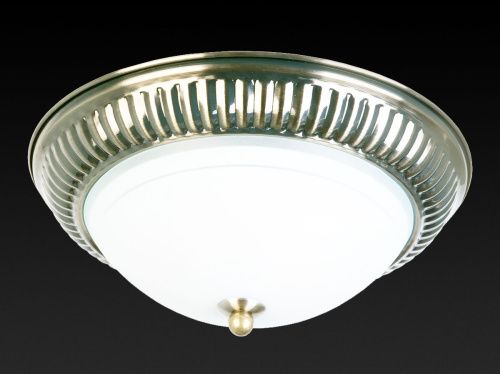 Светильник накладной Toplight Dora (Дора) TL5040Y-02AB - фото 2