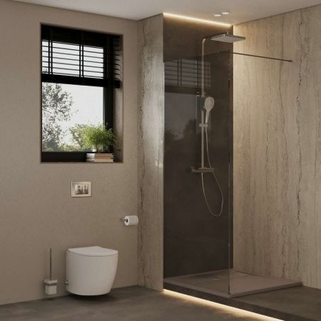 Душевая перегородка Allen Brau Infinity 3.21014.BA.T 100х200 стекло тонированное профиль серебро