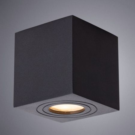 Светильник накладной Arte Lamp Galopin (Галопин) A1461PL-1BK