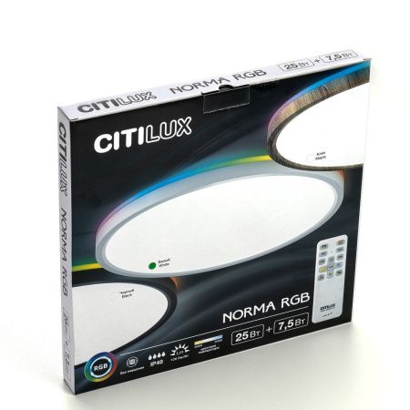 Светильник потолочный Citilux Norma (Норма) CL749320