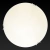 Светильник накладной Toplight Jane (Джане) TL9641Y-00WH